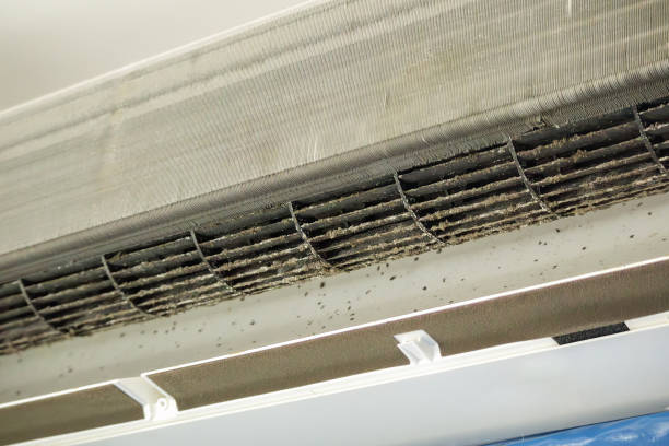 Best Duct Cleaning for Homes  in Peaceful Valley, WA